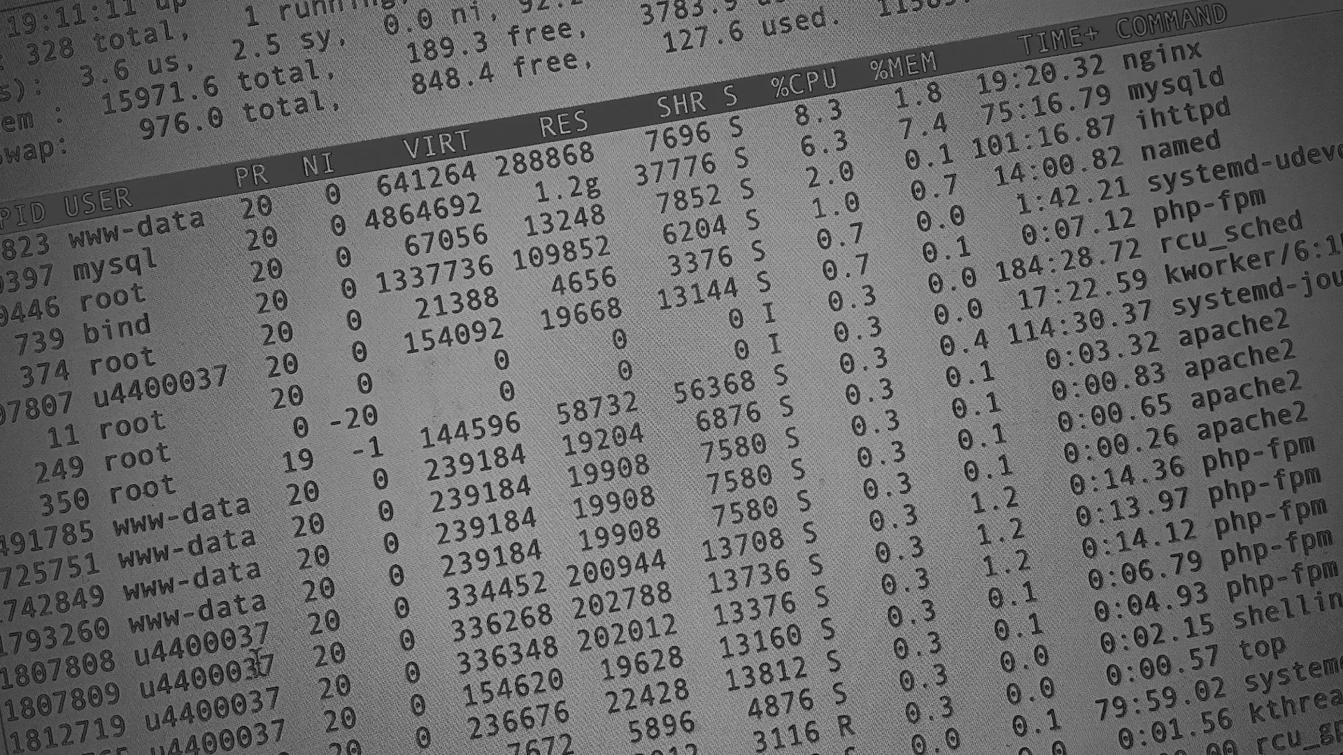 Настройка сервера в Курлово Настройка сервера в Курлово