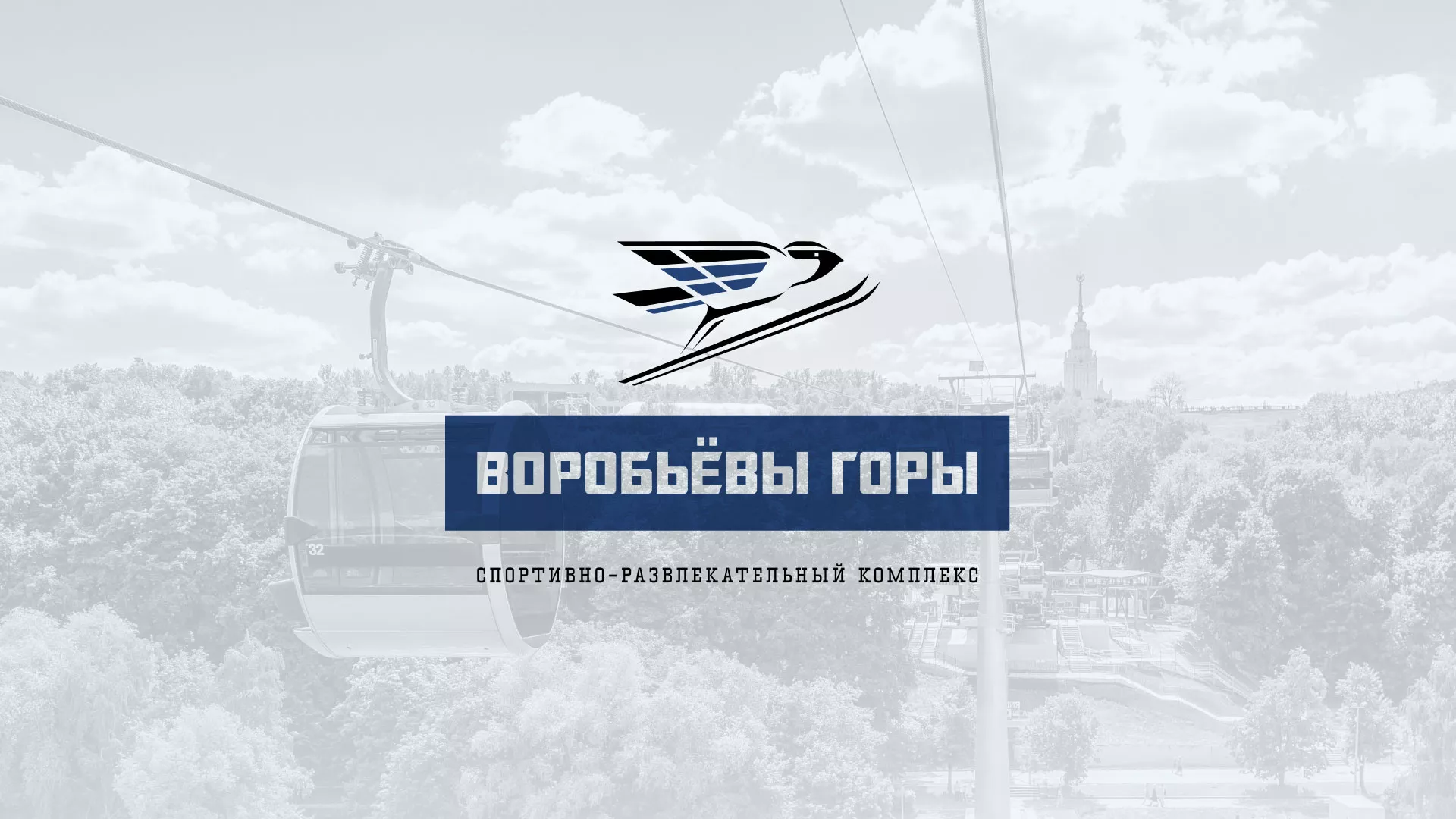 Разработка сайта в Курлово для спортивно-развлекательного комплекса «Воробьёвы горы»